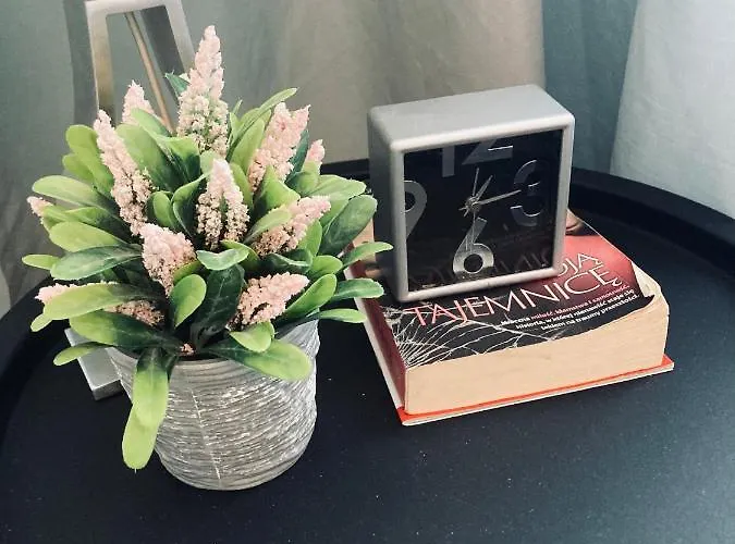 Lovely Space Rzeszów